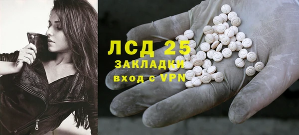 ГАЛЛЮЦИНОГЕННЫЕ ГРИБЫ Алексин