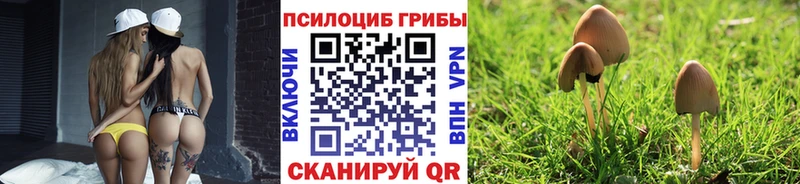 Галлюциногенные грибы ЛСД  Минусинск 